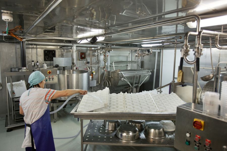 Food and Beverage Industry